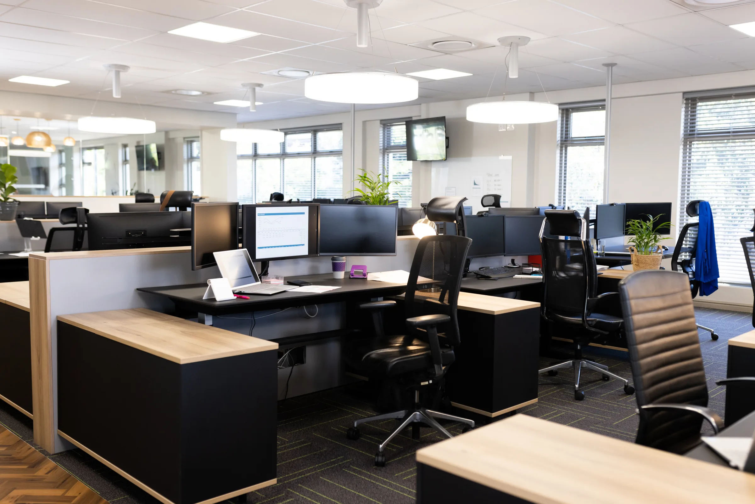 Manas Studio office